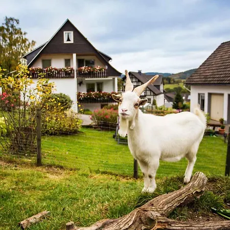 Kornkammer Schmallenberg