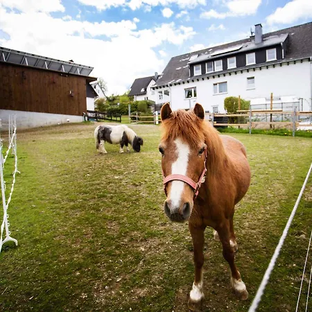 Kornkammer * Schmallenberg